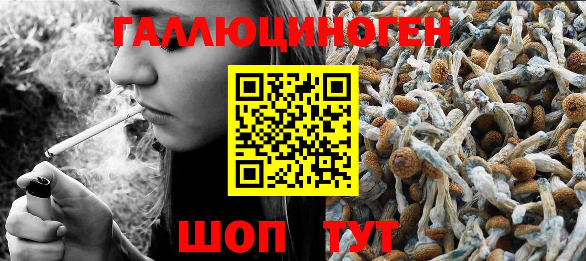 Псилоцибиновые грибы MAGIC MUSHROOMS  Вход с VPN  Галлюциногенные грибы Cubensis  Гай 