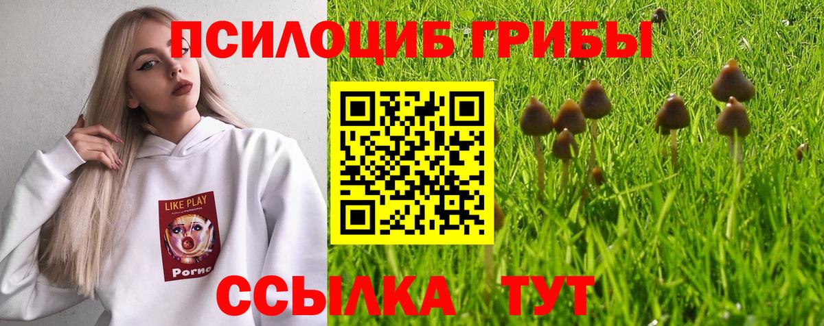 Галлюциногенные грибы прущие грибы Гай